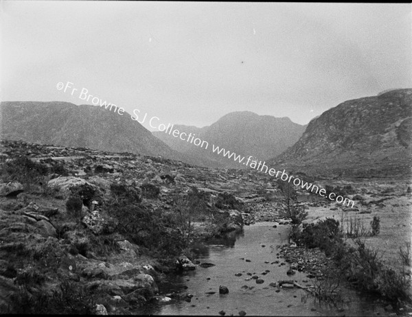 THE POISONED GLEN